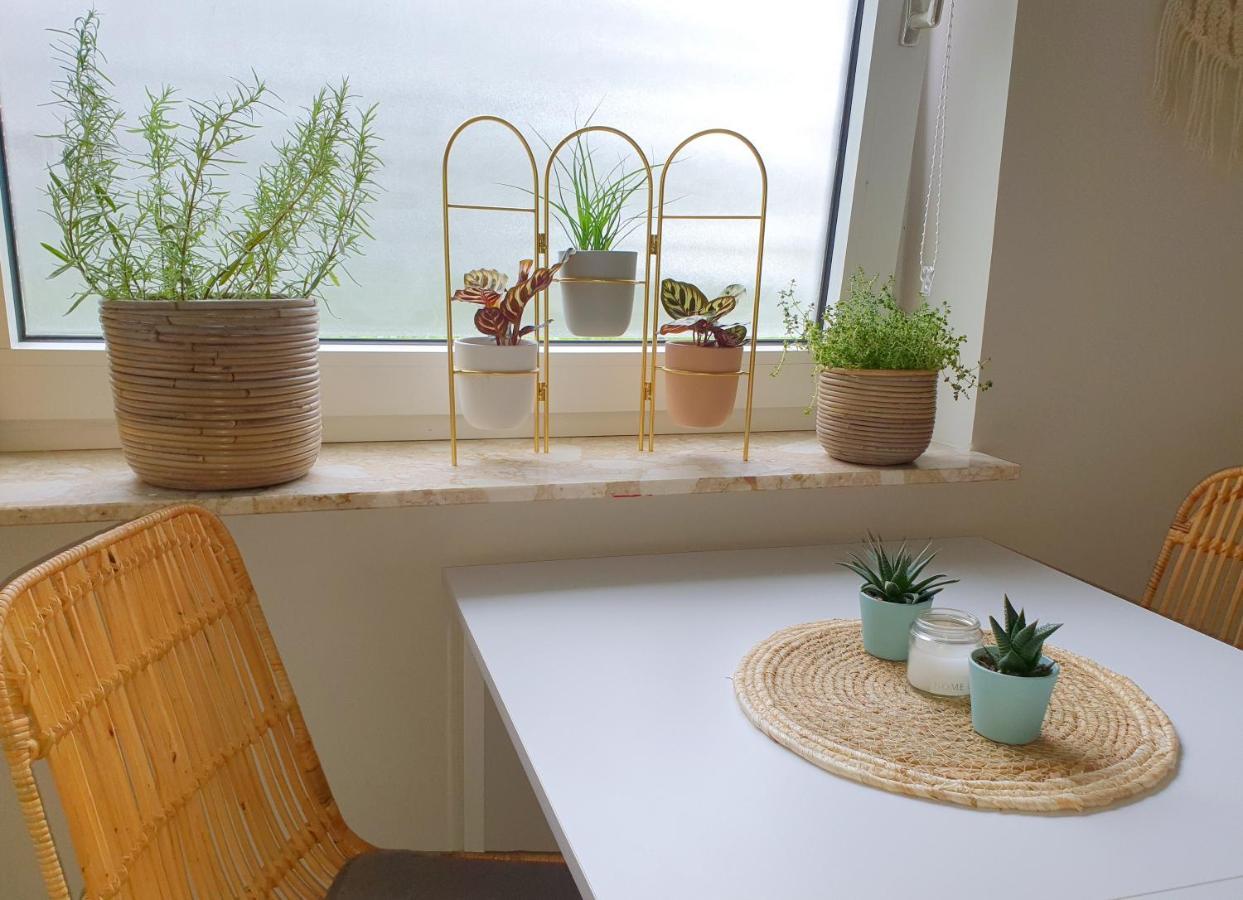 Boho Apartment Oldenburg Exteriör bild